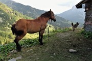 Periplo di Pizzo Rotondo (quasi vetta) e Cime di Lemma dalla Baita del Camoscio il 9 sett. 2018 - FOTOGALLERY